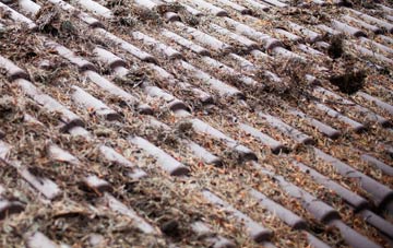 Little Newcastle roof cleaning companies