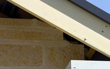 soffit repair Little Newcastle