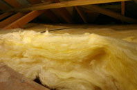 Little Newcastle pitch roof insulation